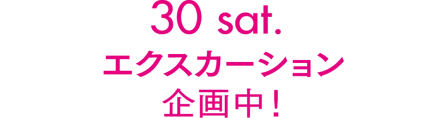 エクスカーション